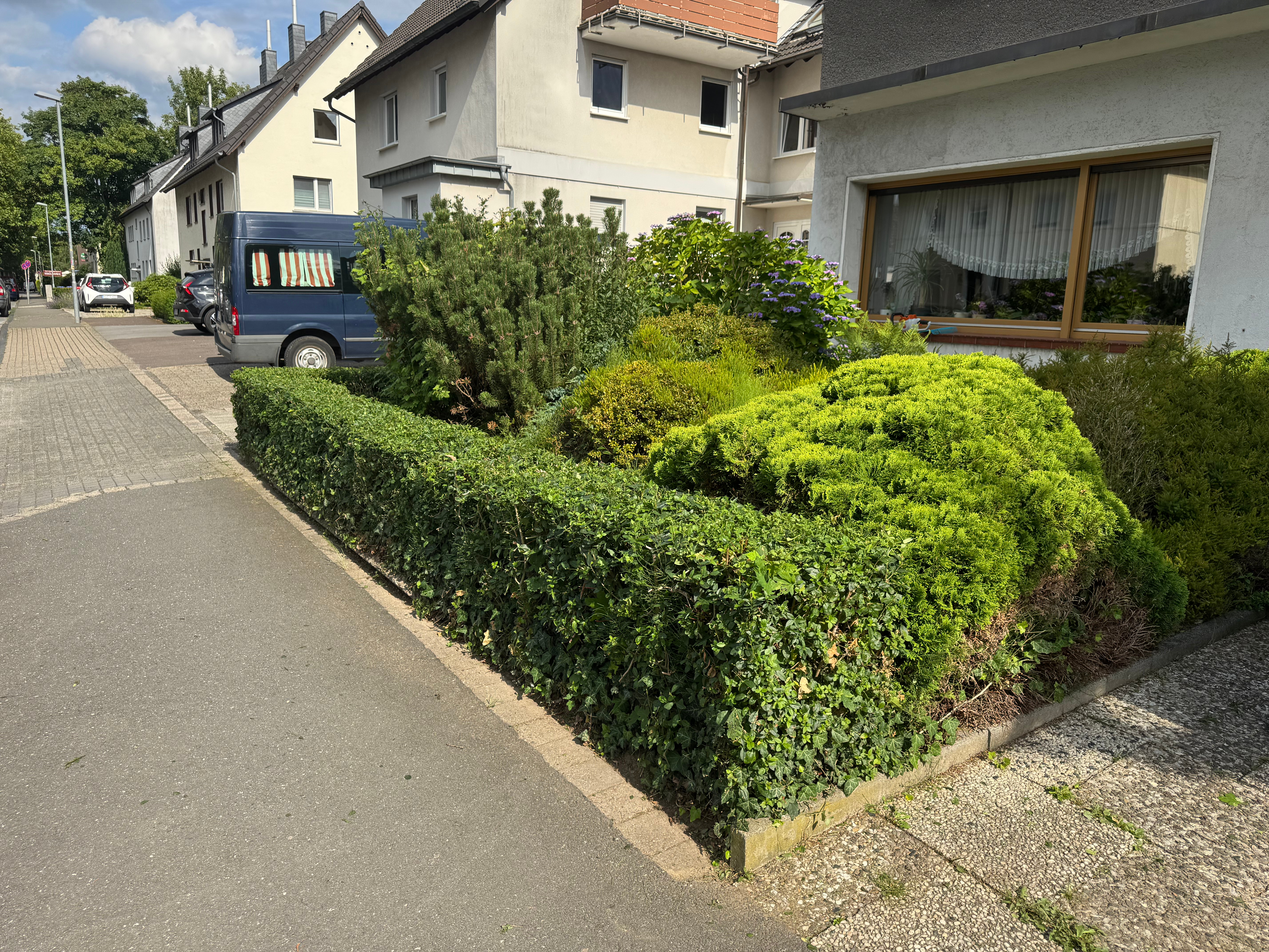 beschnittene Hecke