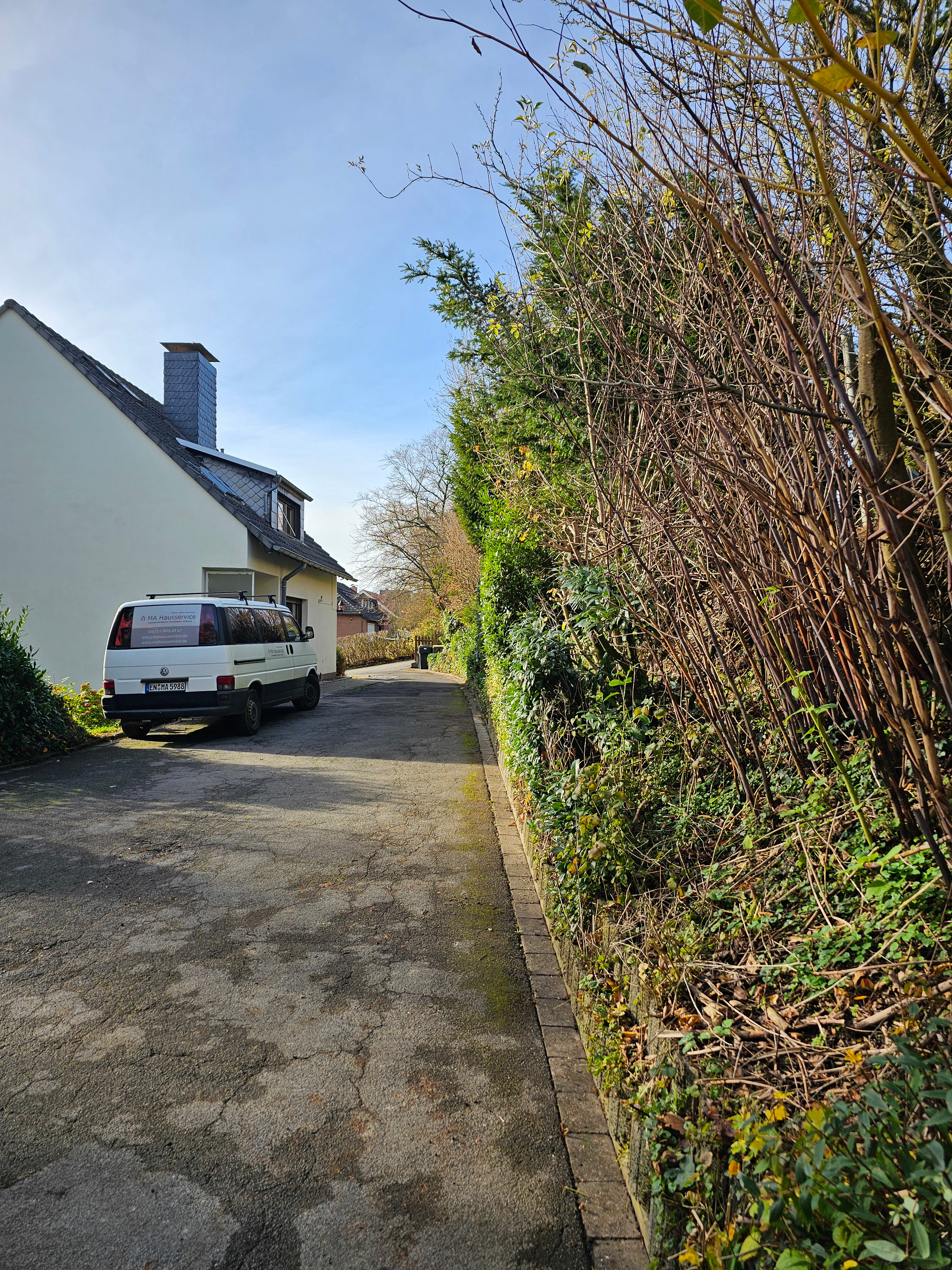 beschnittene Hecke